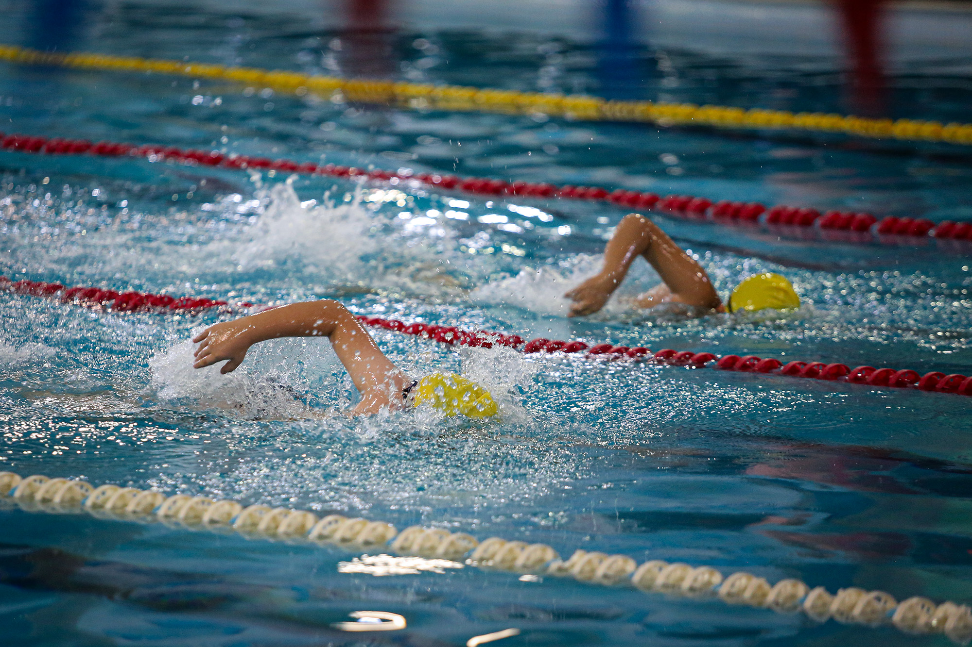 مسابقات شنای خراسان رضوی در مشهد پایان یافت